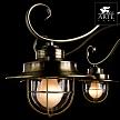 Купить Потолочная люстра Arte Lamp 6 A4579PL-8AB