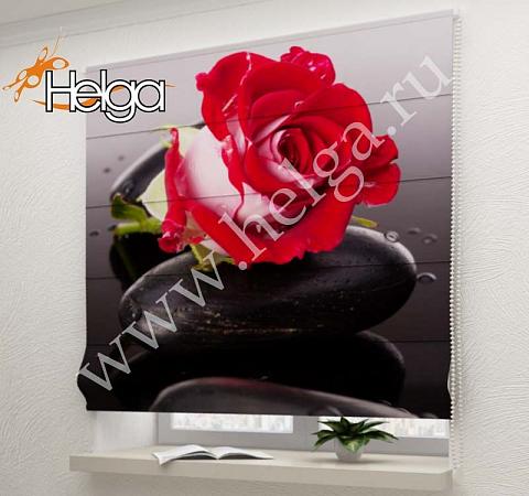 Купить Алая роза арт.ТФР4795 римская фотоштора (Блекаут 3v 100х160 ТФР)