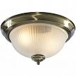 Купить Потолочный светильник Arte Lamp Aqua A9370PL-2AB