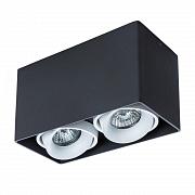 Купить Потолочный светильник Arte Lamp Pictor A5654PL-2BK