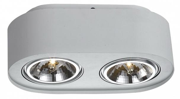Купить Потолочный светильник Arte Lamp Cliff A5643PL-2WH