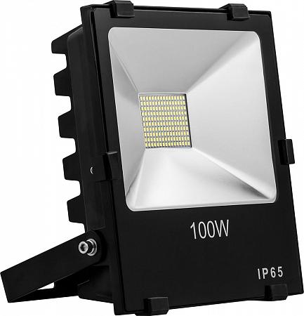Купить Светодиодный прожектор Feron LL-844 IP65 100W 6400K