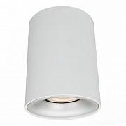 Купить Потолочный светильник Arte Lamp Torre A1532PL-1WH