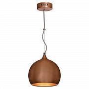Купить Подвесной светильник Lussole Loft GRLSN-6106-01
