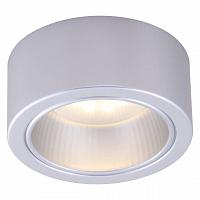 Купить Потолочный светильник Arte Lamp Effetto A5553PL-1GY
