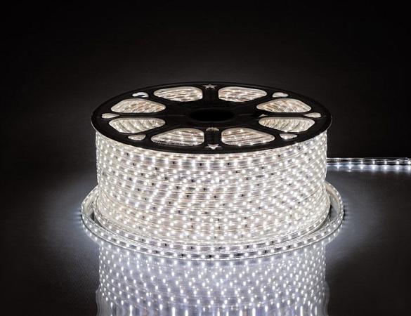 Купить Cветодиодная LED лента Feron LS704, 60SMD(2835)/м 4.4Вт/м  100м IP68 220V белый холодный