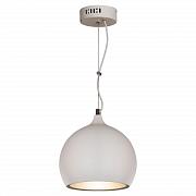 Купить Подвесной светильник Lussole Loft GRLSN-6126-01