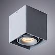 Купить Потолочный светильник Arte Lamp Pictor A5654PL-1GY