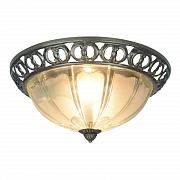 Купить Потолочный светильник Arte Lamp 16 A1306PL-2AB