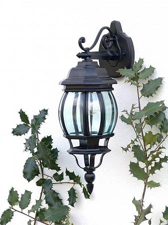 Купить Уличный настенный светильник Brilliant Istria 48682/06