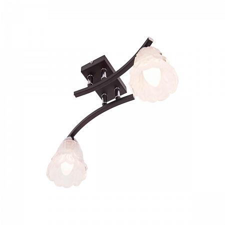 Купить Потолочный светильник IDLamp Simone 217/2PF-Blackchrome