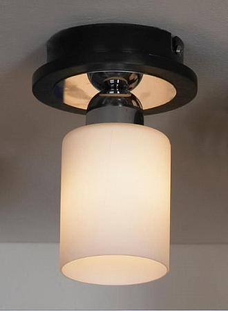 Купить Потолочный светильник Lussole Caprile LSF-6107-01