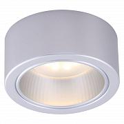 Купить Потолочный светильник Arte Lamp Effetto A5553PL-1GY