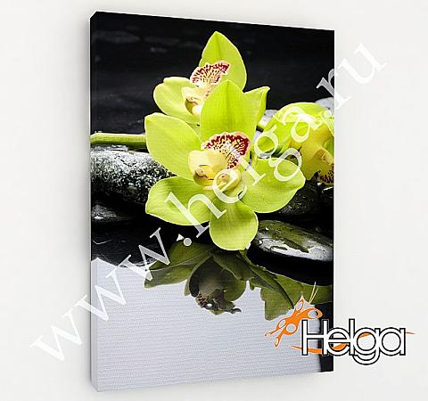 Купить Орхидеи на камнях арт.ТФХ5030 фотокартина (Размер R3 60х80 ТФХ)