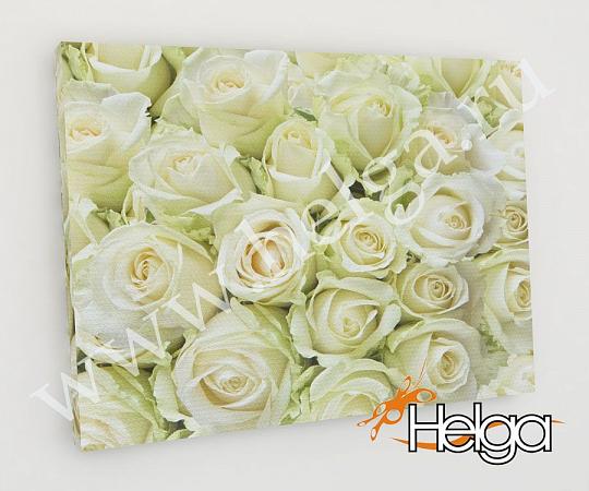 Купить Белые розы арт.ТФХ2688 v2 фотокартина (Размер R2 50х70 ТФХ)
