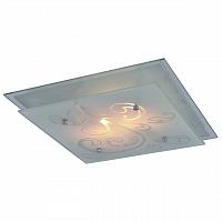 Купить Потолочный светильник Arte Lamp A4866PL-2CC
