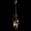 Купить Подвесной светильник Arte Lamp Rimini A6509SP-3CC