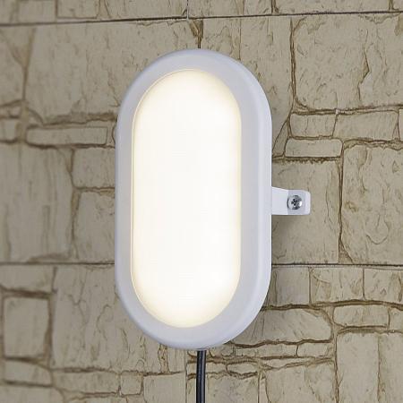 Купить Пылевлагозащищенный светильник Elektrostandard LTB0102D LED 22 см 12W белый 4690389099113