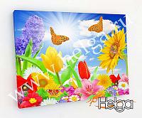Купить Бабочки в цветах арт.ТФХ3351 v4 фотокартина (Размер R2 50х70 ТФХ)