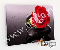 Купить Алая роза холст арт.ТФХ4795 фотокартина (Размер R3 60х80 ТФХ)