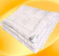 Купить Одеяло "Бамбук" DELIKATE TOUCH, 200х220, чехол mikrofine "GoldTex" (шт.)