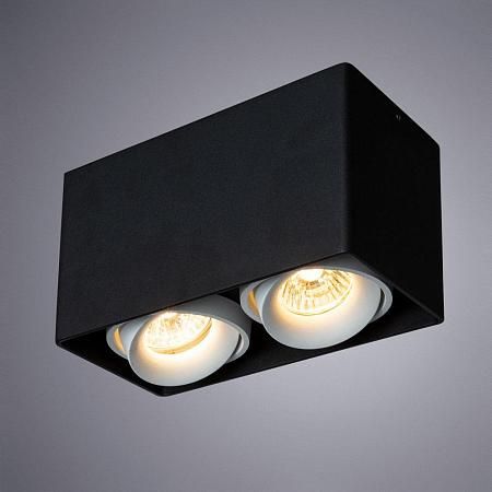 Купить Потолочный светильник Arte Lamp Pictor A5654PL-2BK