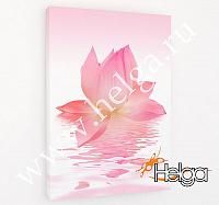 Купить Розовый лотос арт.ТФХ4833 фотокартина (Размер R3 60х80 ТФХ)