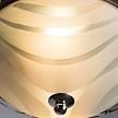 Купить Потолочный светильник Arte Lamp 28 A3008PL-2CC