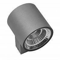 Купить Уличный настенный светодиодный светильник Lightstar Paro 361692