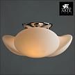 Купить Потолочная люстра Arte Lamp Soffione A2550PL-3CC