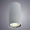 Купить Потолочный светильник Arte Lamp A1516PL-1GY