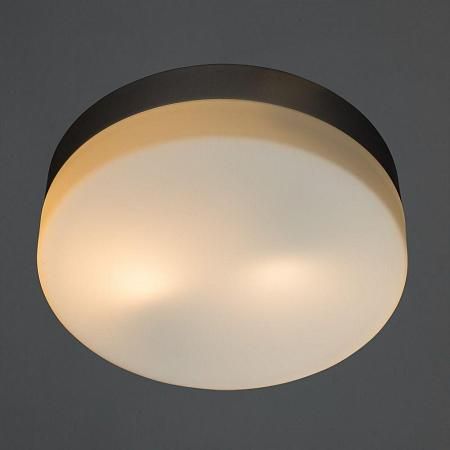 Купить Потолочный светильник Arte Lamp Shirp A3211PL-2SI