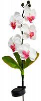 Купить Светильник садово-парковый на солнечной батарее "Орхидея белая с розовым", 5 LED  белый, 70см , PL301