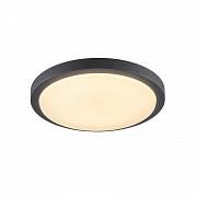 Купить Потолочный светодиодный светильник SLV Ainos 229965
