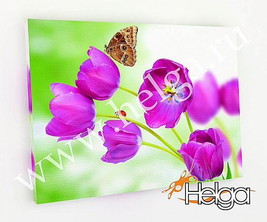 Купить Тюльпаны с бабочкой арт.ТФХ4933 фотокартина (Размер R3 60х80 ТФХ)