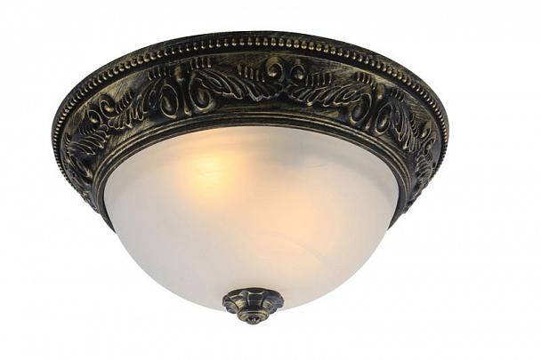 Купить Потолочный светильник Arte Lamp Piatti A8010PL-2AB
