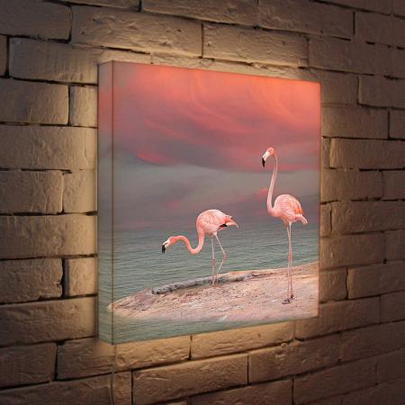 Купить Лайтбокс Фламинго 45x45-022