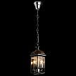 Купить Подвесной светильник Arte Lamp Rimini A6505SP-3CC