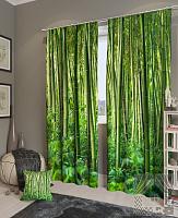 Купить Бамбуковые джунгли