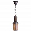 Купить Подвесной светильник Loft IT Loft1933-1P