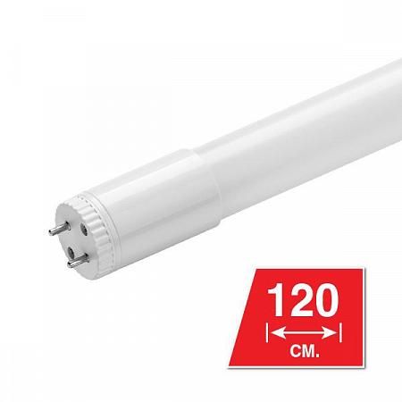 Купить Лампа LED WOLTA 25ST8-18G13 4000K