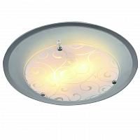 Купить Потолочный светильник Arte Lamp A4806PL-2CC
