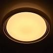 Купить Потолочный светодиодный светильник De Markt Ривз 674011901