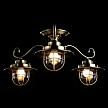 Купить Потолочная люстра Arte Lamp 6 A4579PL-3AB