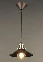 Купить Подвесной светильник Citilux Эдисон CL450101