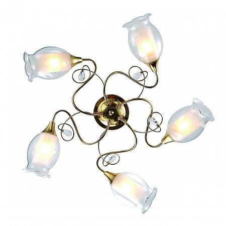 Купить Потолочная люстра Arte Lamp Mughetto A9289PL-5GO