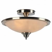 Купить Потолочный светильник Arte Lamp Safari A6905PL-2AB