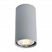Купить Потолочный светильник Arte Lamp A1516PL-1GY