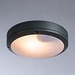 Купить Уличный светильник Arte Lamp City A8154PF-2GY