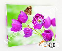 Купить Тюльпаны с бабочкой арт.ТФХ4933 фотокартина (Размер R1 40х60 ТФХ)